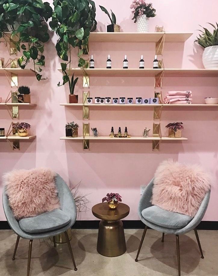 two blue chairs sitting next to each other in front of shelves with plants on them