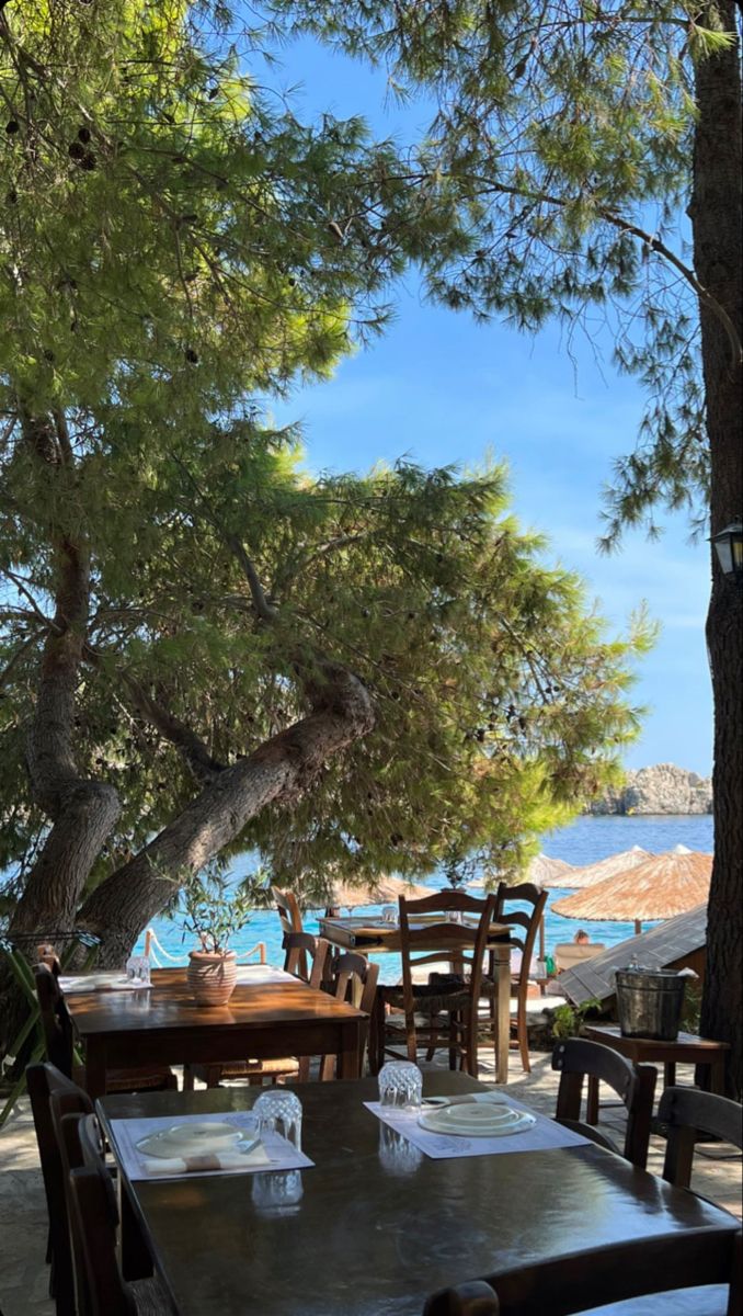 an outdoor dining area with tables, chairs and umbrellas on the beach near trees