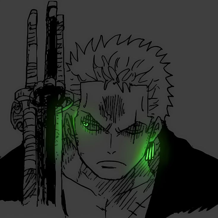 Roronoa Zoro Anime, Zoro Anime, Pinterest Profile, Zoro One Piece, Roronoa Zoro, Anime One, Profile Photo, Anime Icons, One Piece