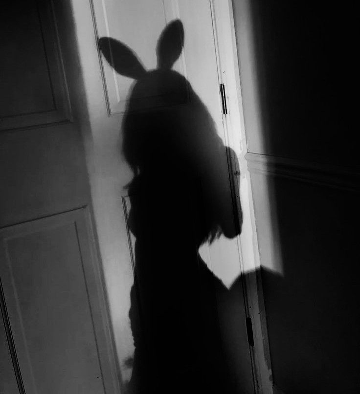 the shadow of a person wearing a bunny ears hat in front of an open door