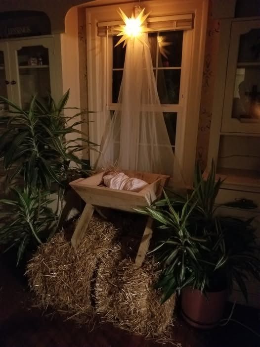 a nativity scene with hay and plants in front of a window at night time