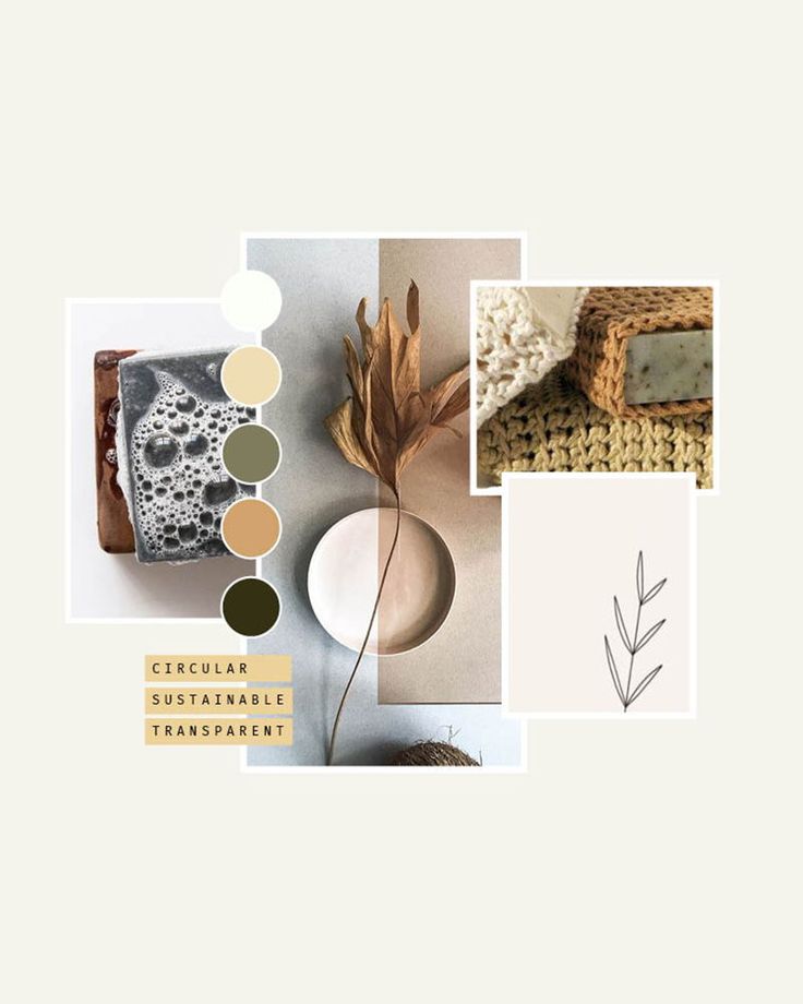 a collage of photos with different items on it, including a plant and other things