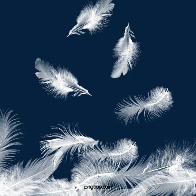 several white feathers floating in the air