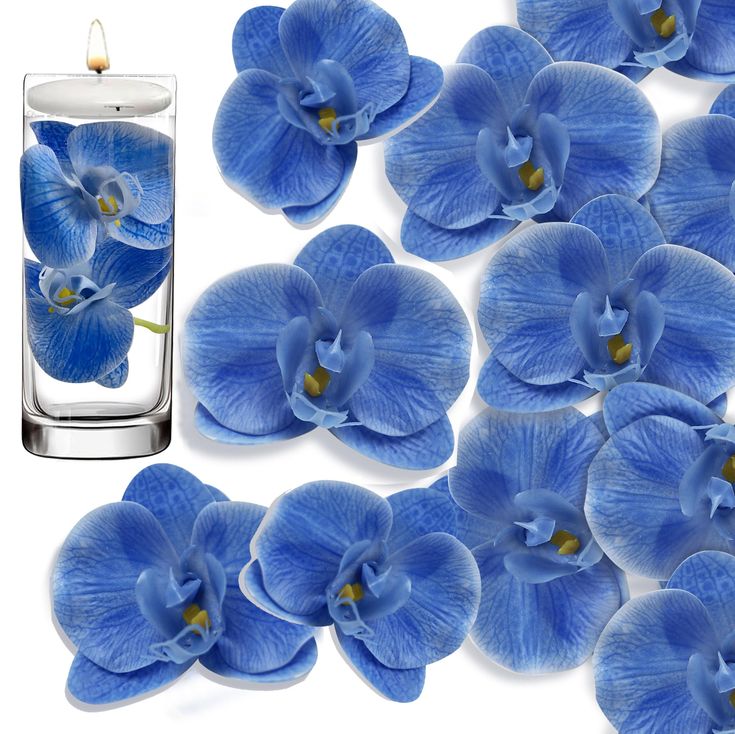 blue flowers are floating in a glass with water on the bottom and one is surrounded by smaller ones