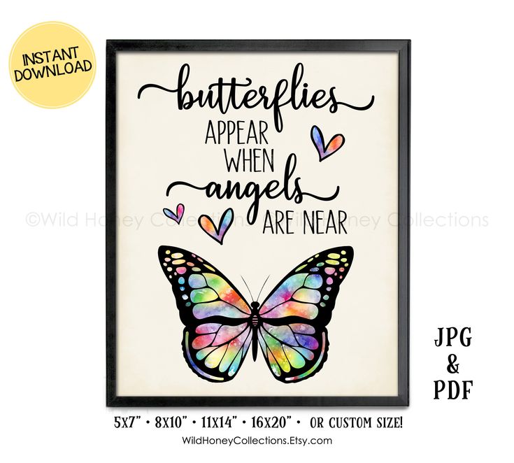 a colorful butterfly with the words butterflies appear when angels are near