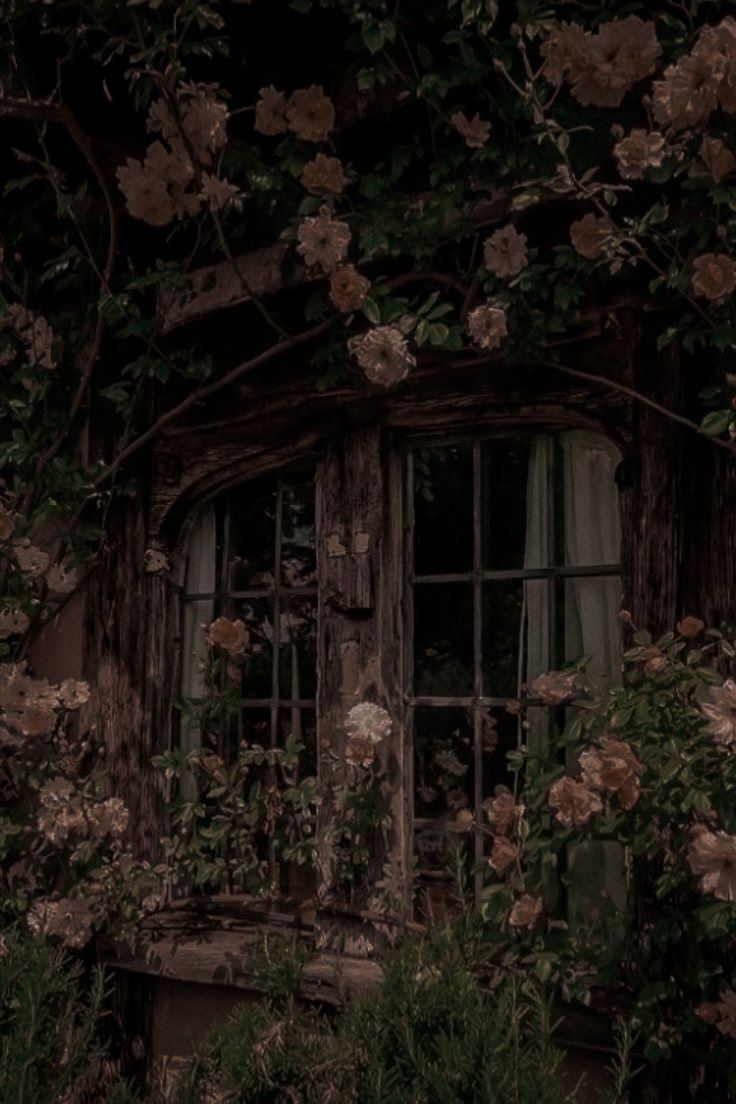 an old window covered in vines and flowers