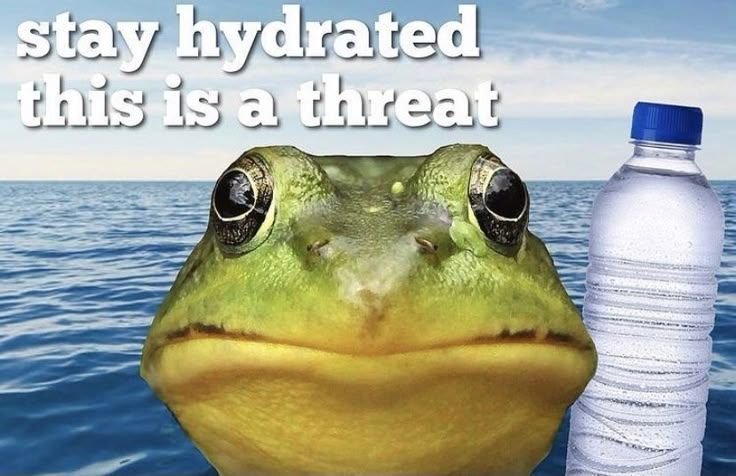 a green frog sitting next to a water bottle with the caption stay hydrated this is a threat