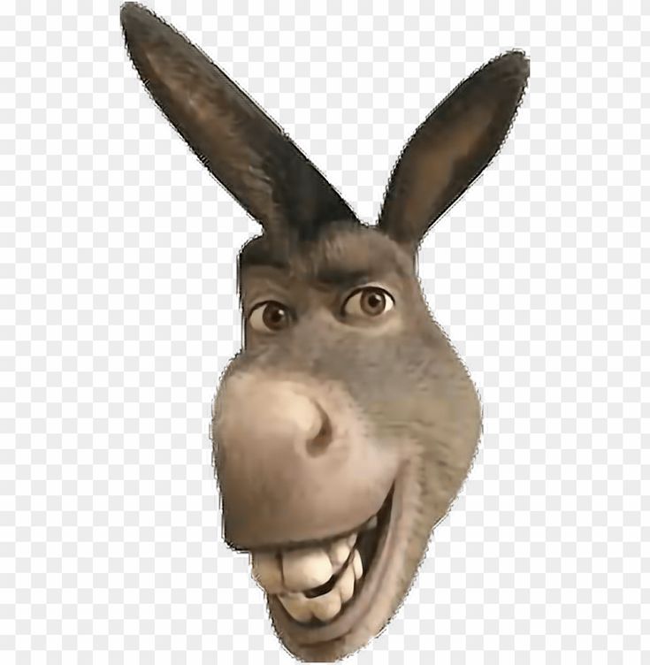 a donkey head with an open mouth and big ears, on a transparent background png