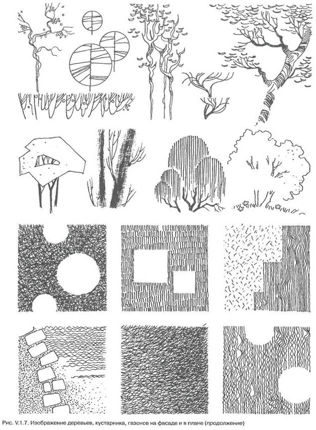 several different types of trees and bushes are shown in this drawing, which shows the various shapes