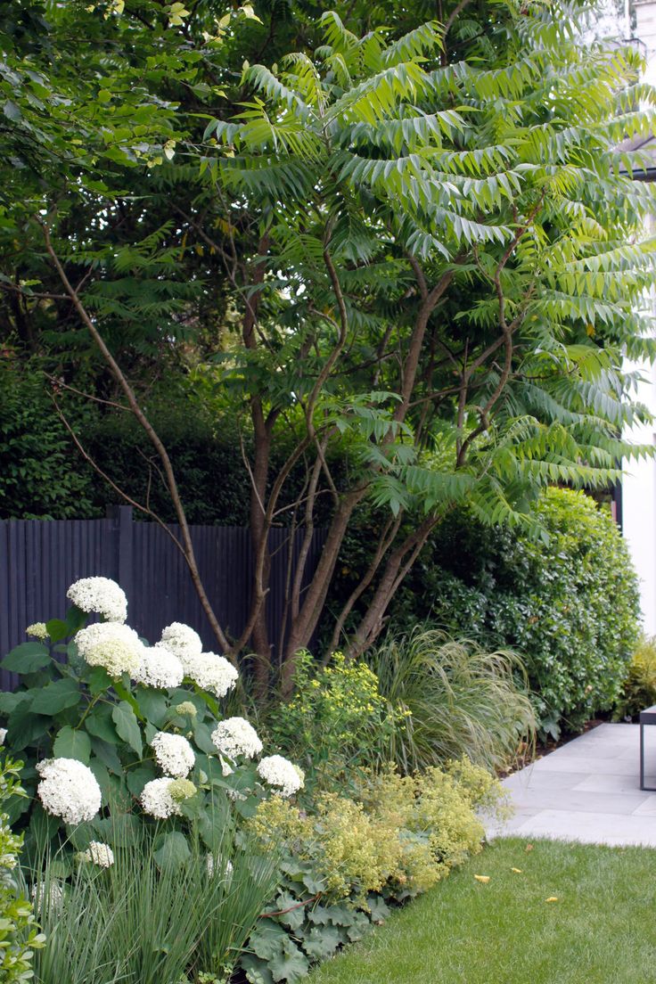 a garden with white flowers and trees in the background