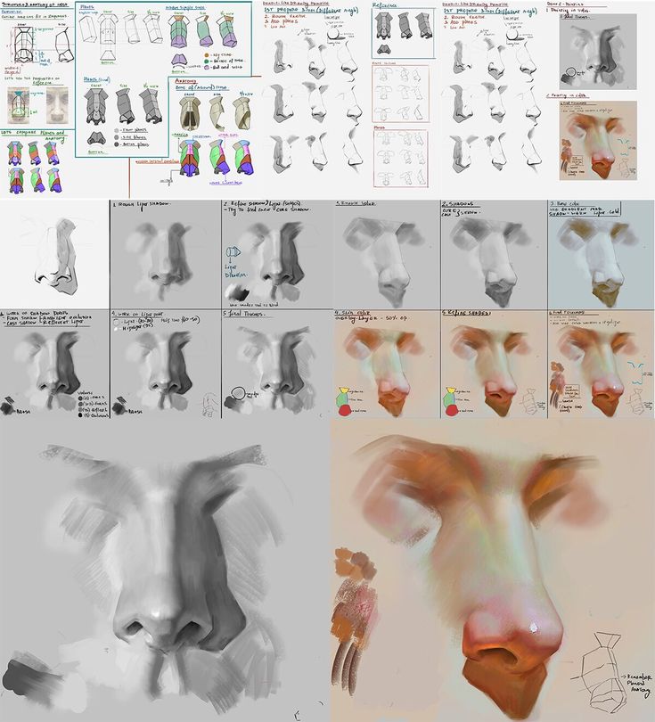 an image of various stages of drawing the nose and head with different angles to make it look