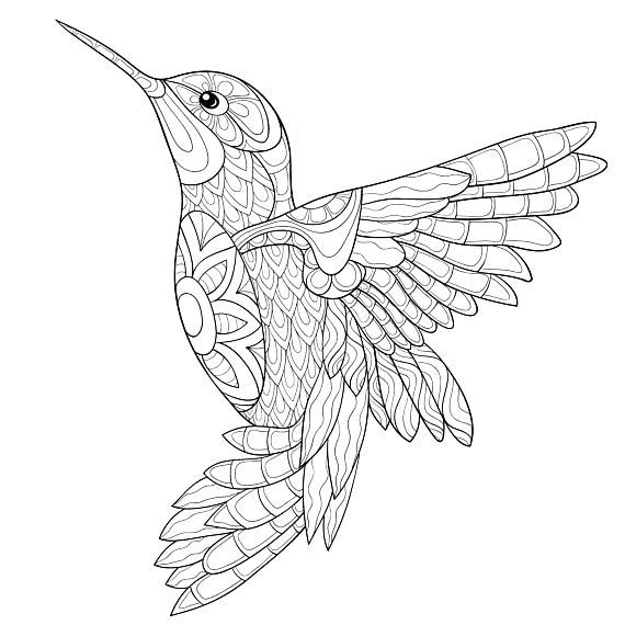 a hummingbird flying in the sky with patterns on it's wings coloring page