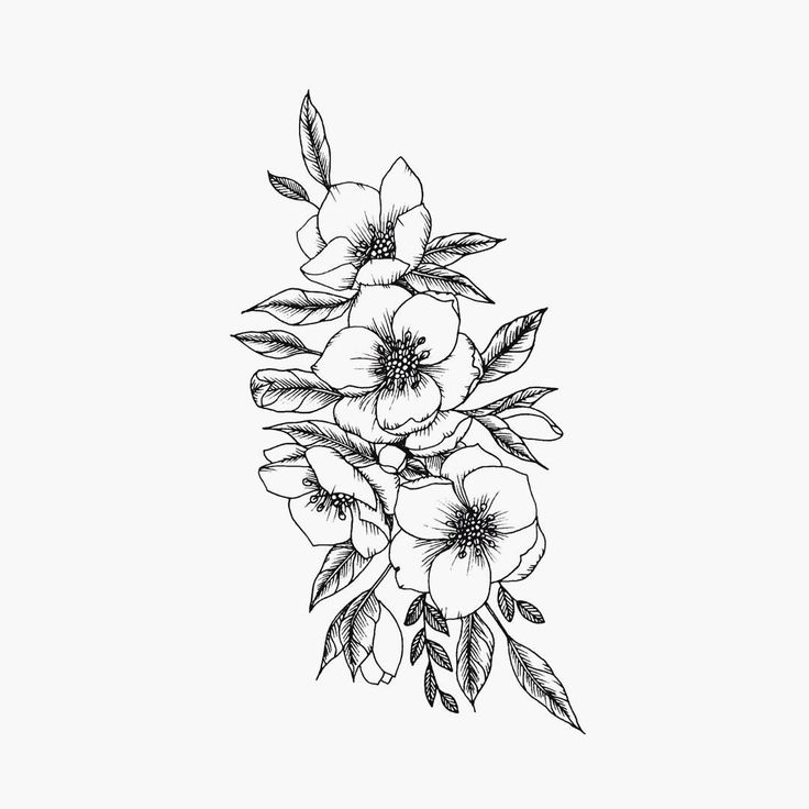 black and white drawing of flowers on a white background