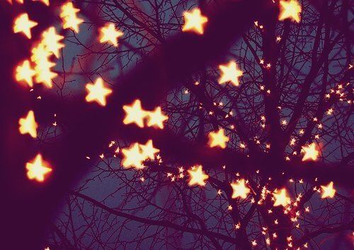 stars are lit up in the night sky as seen from below tree branches with no leaves