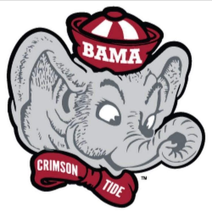 an elephant wearing a hat with the word obama on it's forehead and words that read, crimson toe