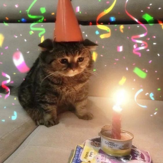 a cat wearing a party hat sitting next to a lit candle