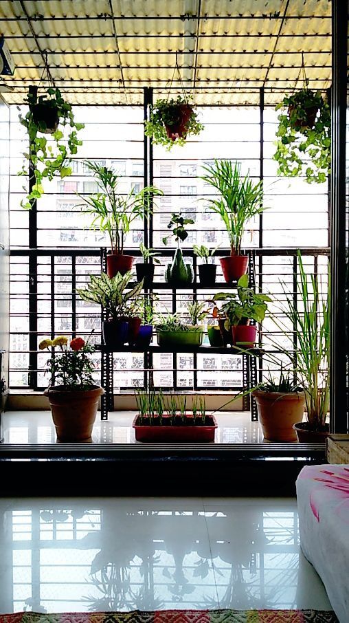 there are many potted plants on the balcony in front of the door to the room