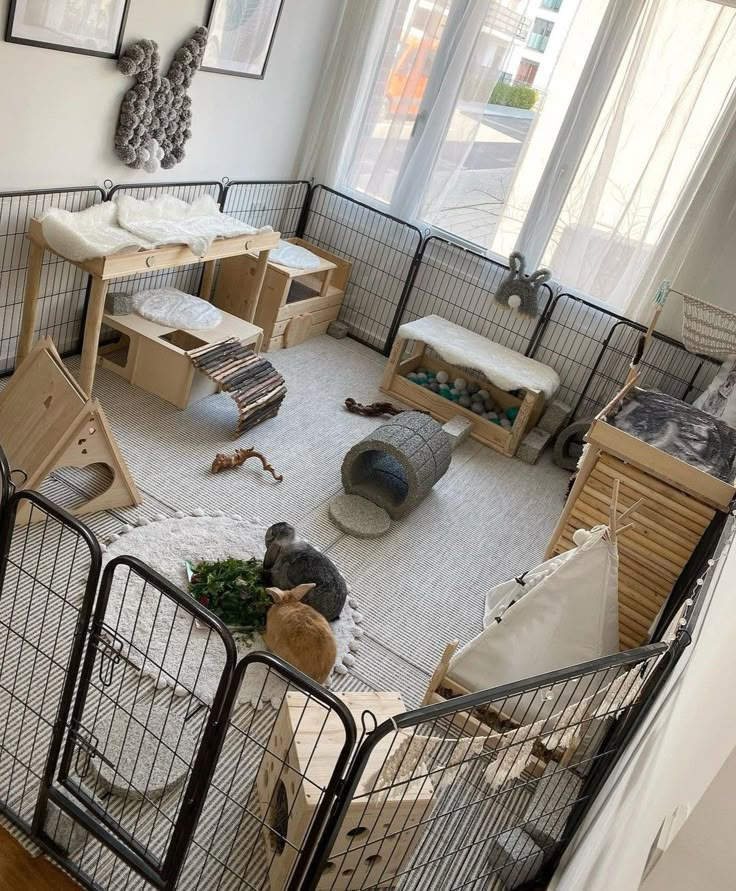 a room filled with lots of furniture and animals in it's caged enclosures