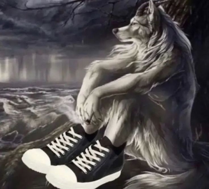 a painting of a wolf sitting on top of a pair of black and white shoes