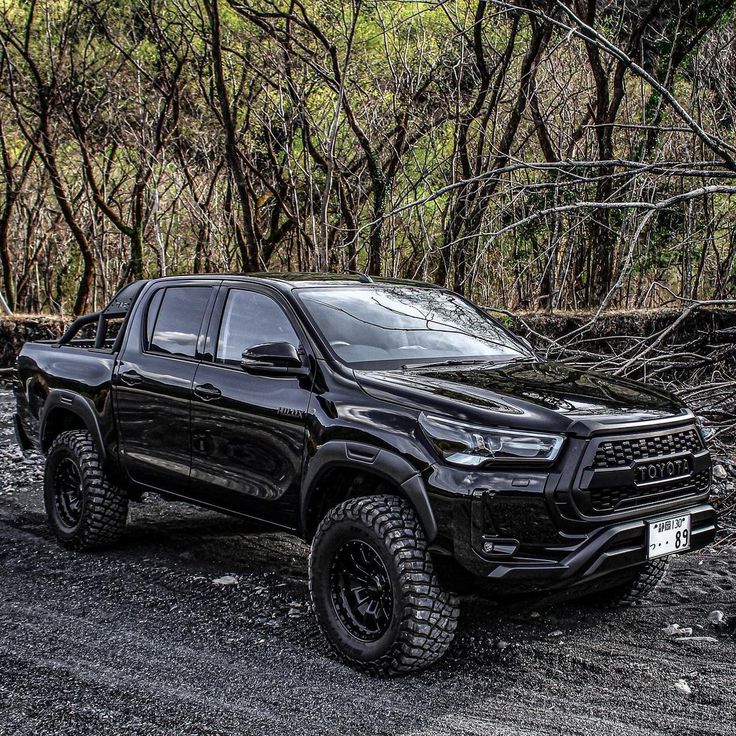 a black truck is parked in front of some trees