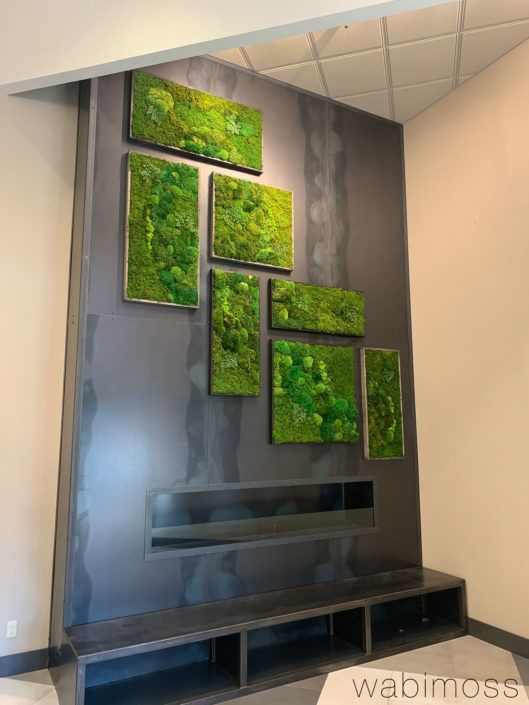 a wall with moss on it in an office