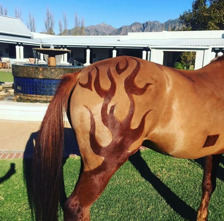 a brown horse with flames painted on it's face eating grass in front of a building