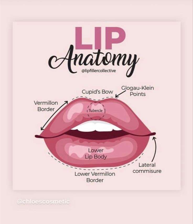 Lip filler is an art and anatomy is very important. Lip Anatomy, Botox Funny, Botox Quotes, Botox Lips, Beauty Skin Quotes, Facial Fillers, Nurse Aesthetic, Facial Contouring, Cosmetic Injectables