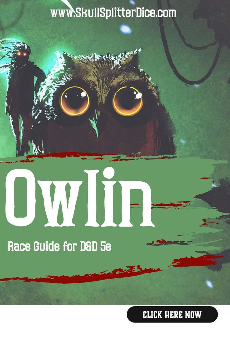 an owl with big eyes and the words own race guide for dad se on it