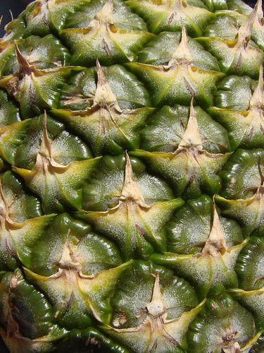 a pineapple is shown with green leaves on it