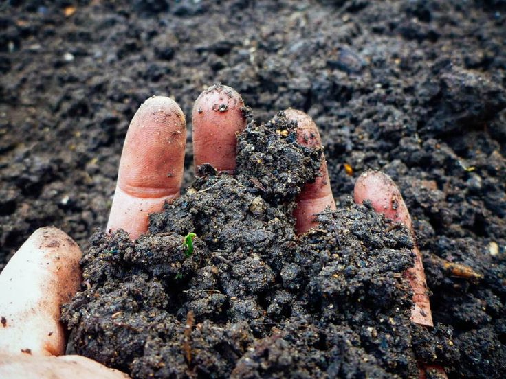 a person's hand holding soil in the dirt