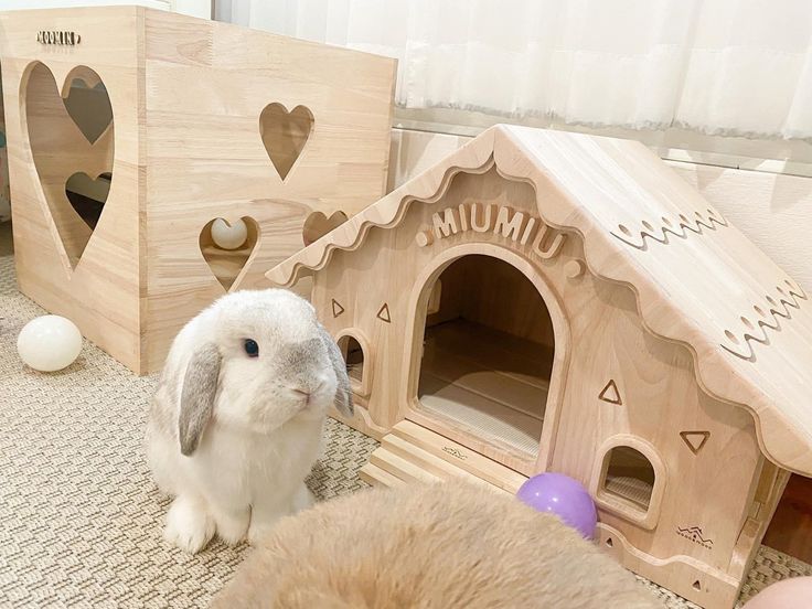 a rabbit sitting in front of a wooden house and another bunny laying on the floor