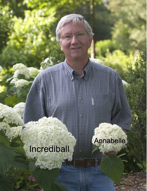 an older man standing in front of some white flowers with words describing him and his name