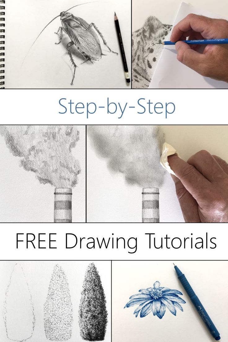 step by step drawing instructions for beginners to learn how to draw flowers and trees