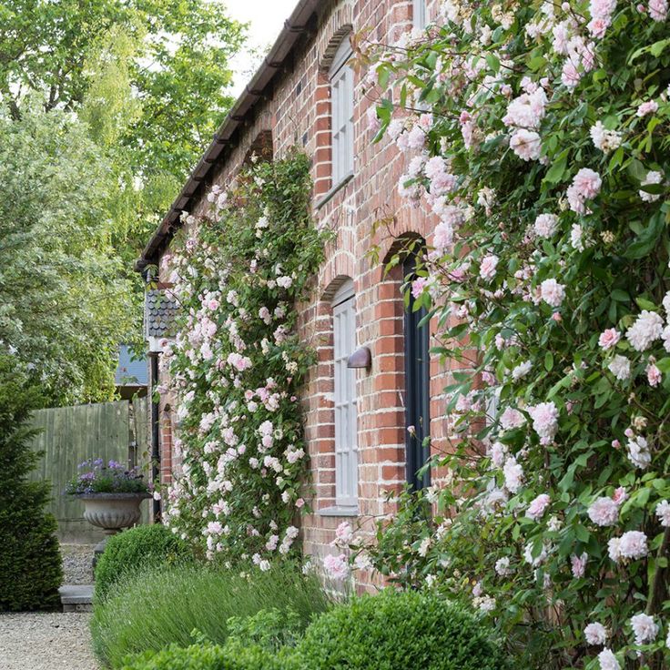 an old brick building with pink flowers growing on it's side and bushes lining the walkway