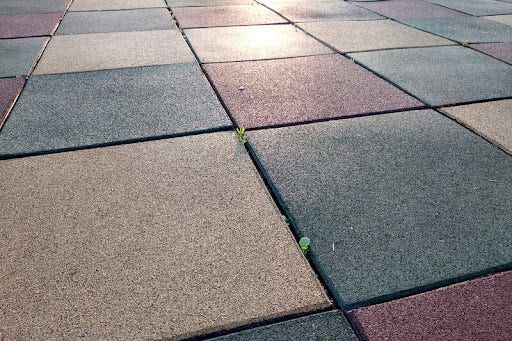 a small green plant sitting on top of a patch of cement pavement next to a parking lot