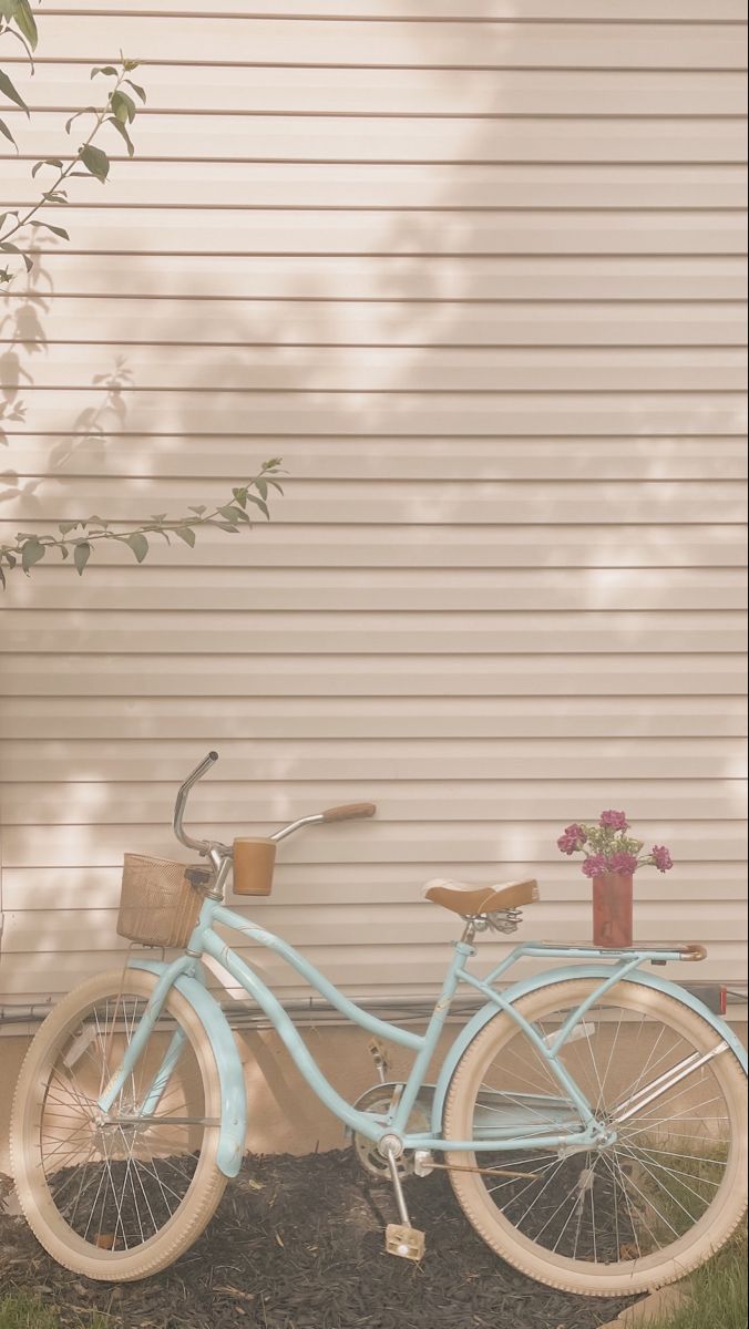 a blue bicycle parked in front of a house