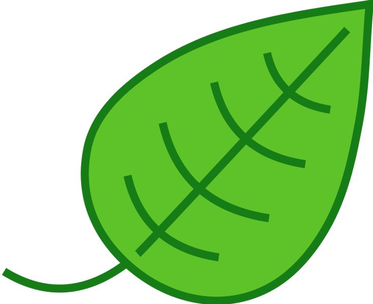 a green leaf with two intersecting lines on the leaves, and one diagonal line at the end