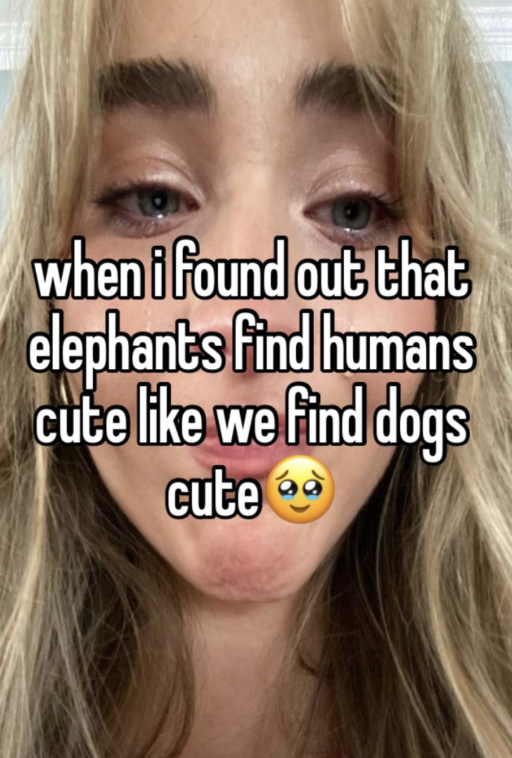 a woman's face with the words when i found out that elephants find humans cute like we find dogs cute