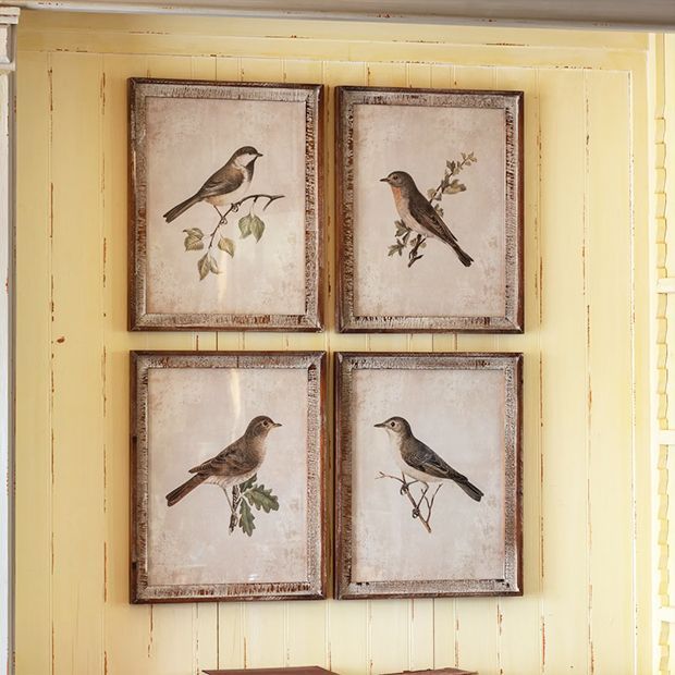 three framed birds are hanging on the wall