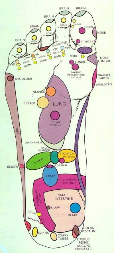 Foot reflexology - this works so well when I feel a cold or sore throat coming on. I need to remember to use it for other problems. Autogenic Training, Reflexology Points, Reflexology Chart, Foot Reflexology, Acupressure Points, Foot Massage, Pressure Points, Reflexology, Acupressure