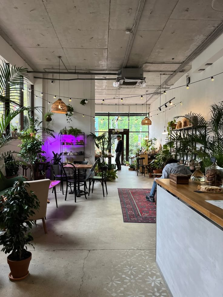 a room filled with lots of plants and furniture