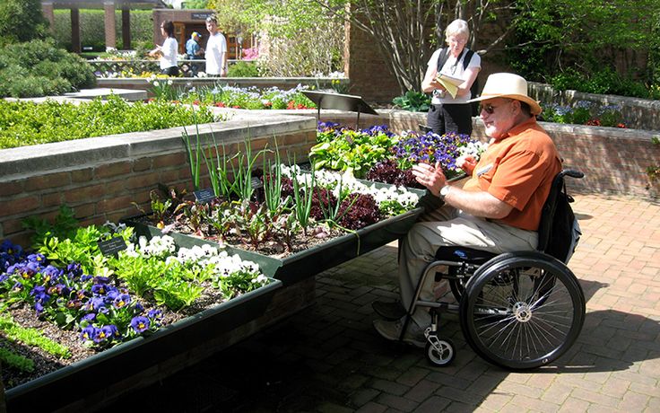 an elderly man in a wheel chair is looking at flowers and plants on the ground