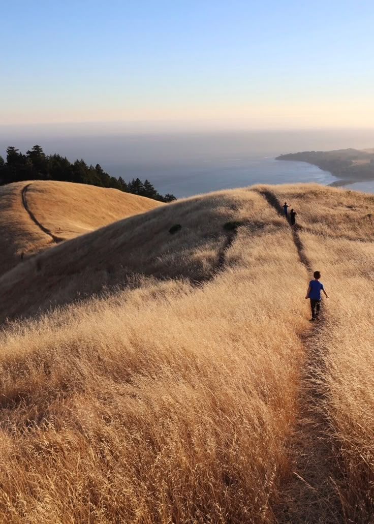 a small child is walking up a hill near the ocean on a sunny day with no one around