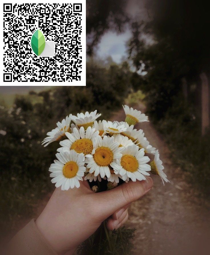 a person is holding some daisies in their hand with a qr code above them