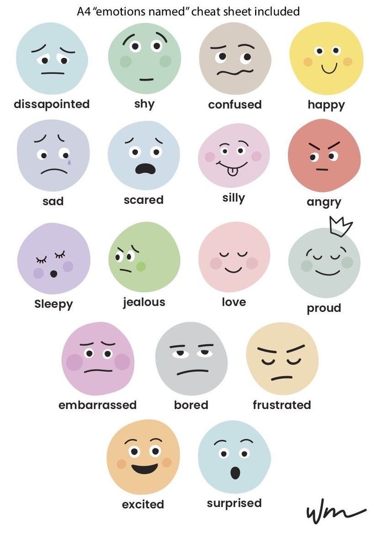 different types of emoticions with the words emotics in them and their meanings