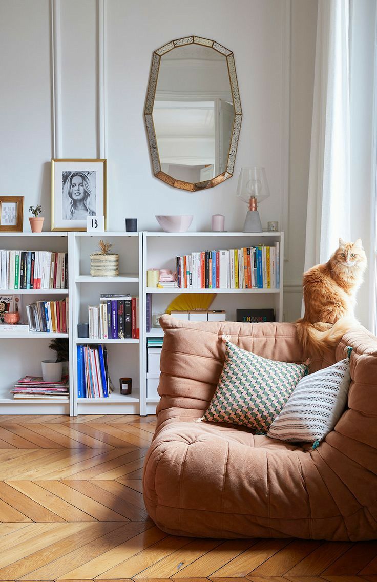 an orange cat sitting on top of a brown chair in front of a book shelf