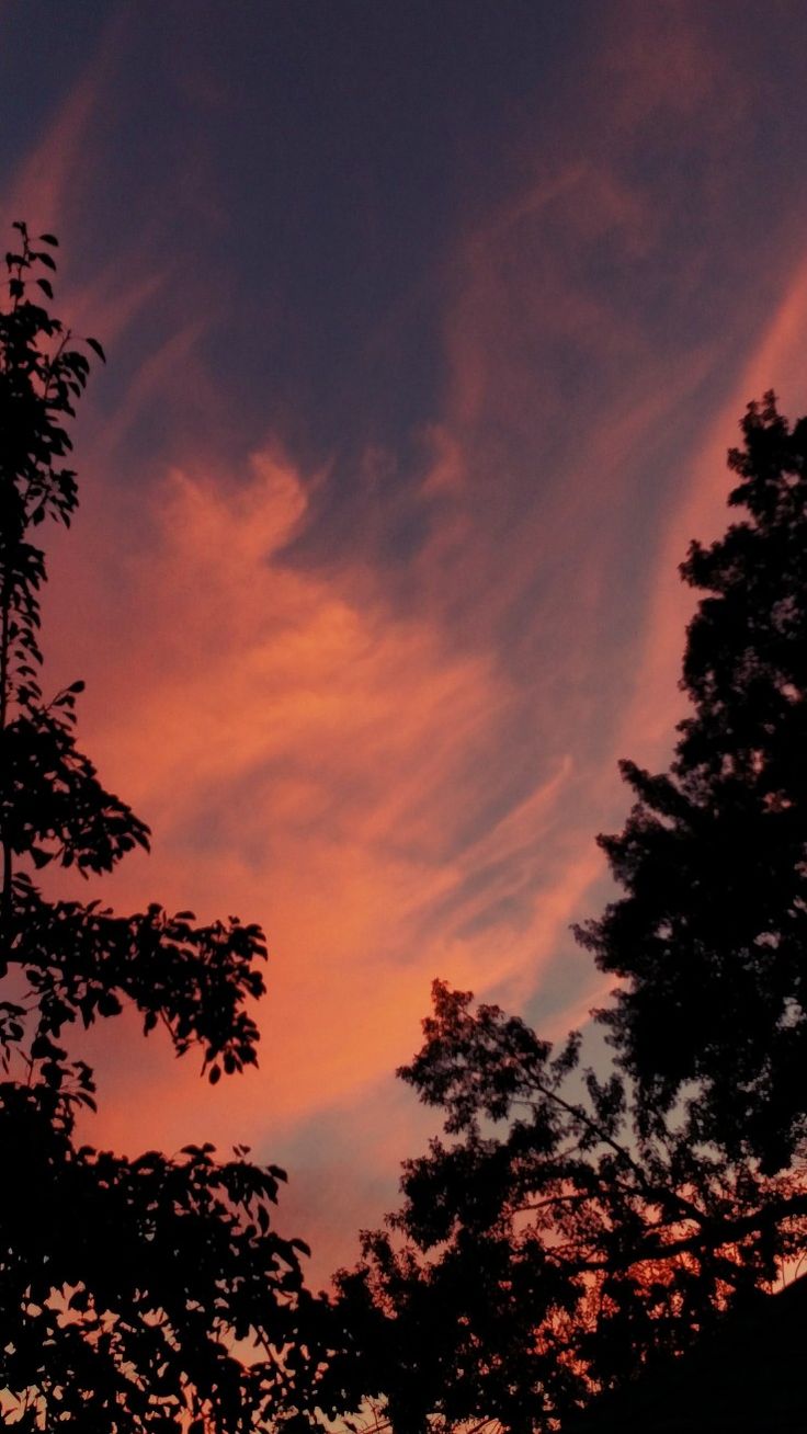 the sky is pink and blue with clouds in it at sunset or dawn, as seen from behind some trees