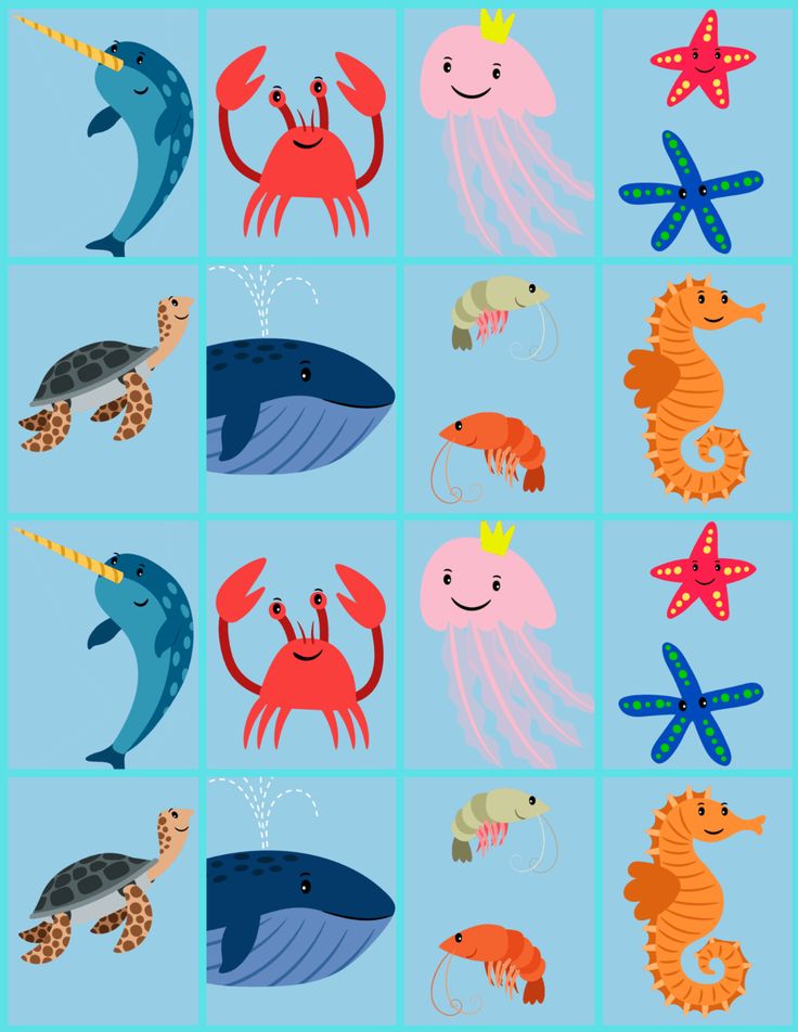 an image of different sea animals on a blue background