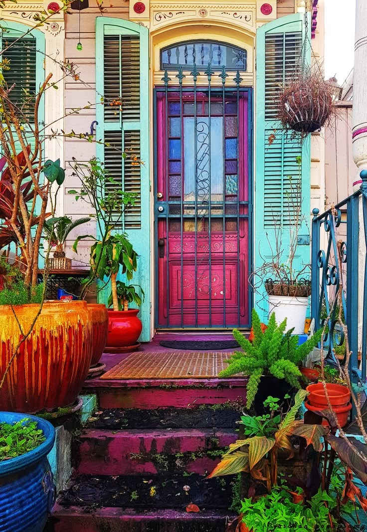 colorful front door with potted plants on the steps