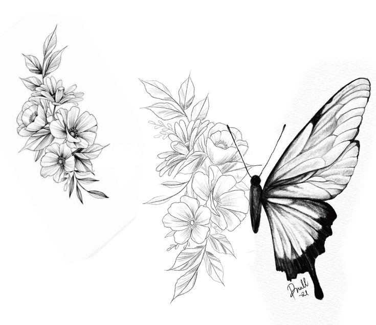 two drawings of flowers and a butterfly